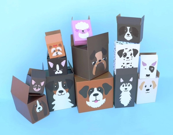 Boîtes en carton sur-mesure avec impression
