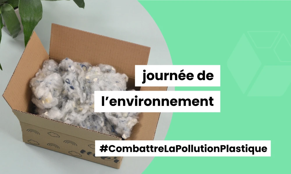 Expédier ses colis sans plastique