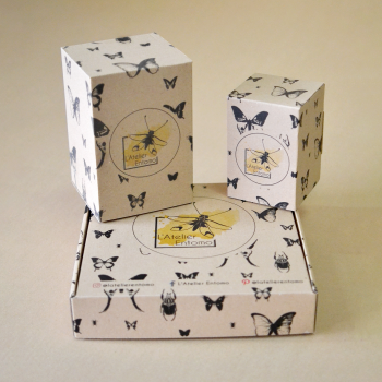 Etuis personnalisés pour les décorations de l'Atelier Entomo