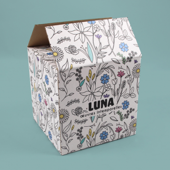 Caisse d'expédition personnalisée pour les oeuvres d'art de Luna