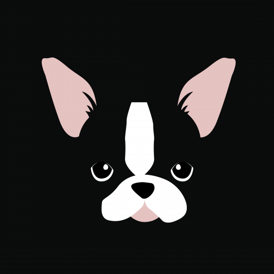 caisse-bouledogue-francais-pattern-coqli