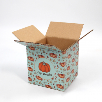 Caisses d'expédition personnalisées pour les mugs de Cosy Pumpkin