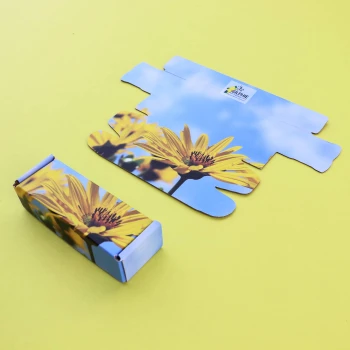 Boite à oreilles personnalisée pour les lunettes de Silphie France