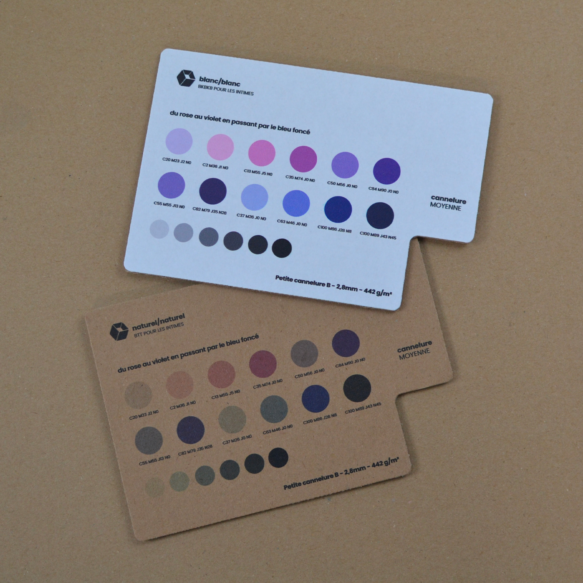 nuancier-violet-bleu (1)